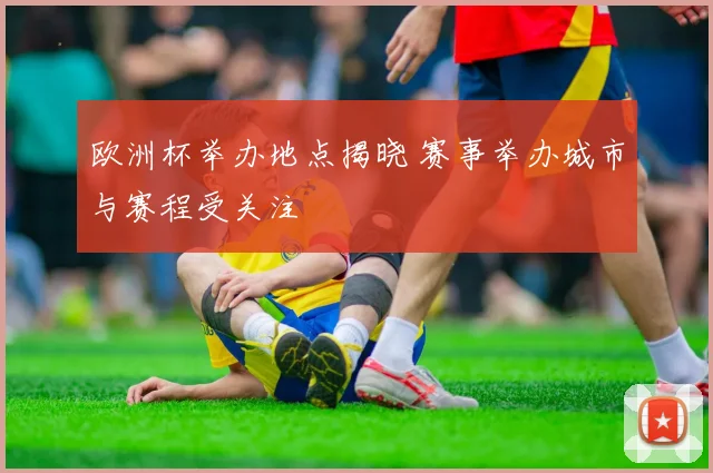 欧洲杯举办地点揭晓 赛事举办城市与赛程受关注