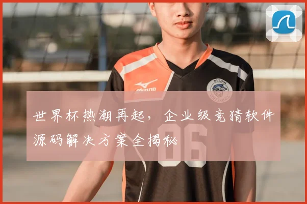 世界杯热潮再起，企业级竞猜软件源码解决方案全揭秘