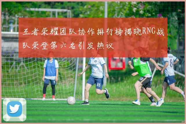 王者荣耀团队协作排行榜揭晓RNG战队荣登第六名引发热议