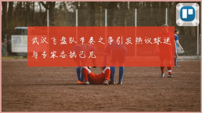 武汉飞盘队节奏之争引发热议球迷与专家各执己见