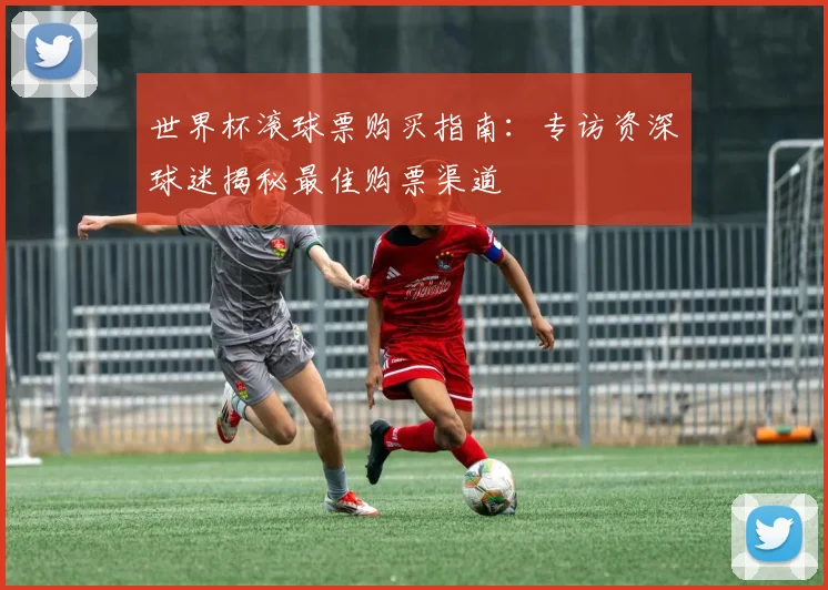 世界杯滚球票购买指南:专访资深球迷揭秘最佳购票渠道