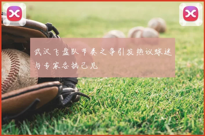 武汉飞盘队节奏之争引发热议球迷与专家各执己见