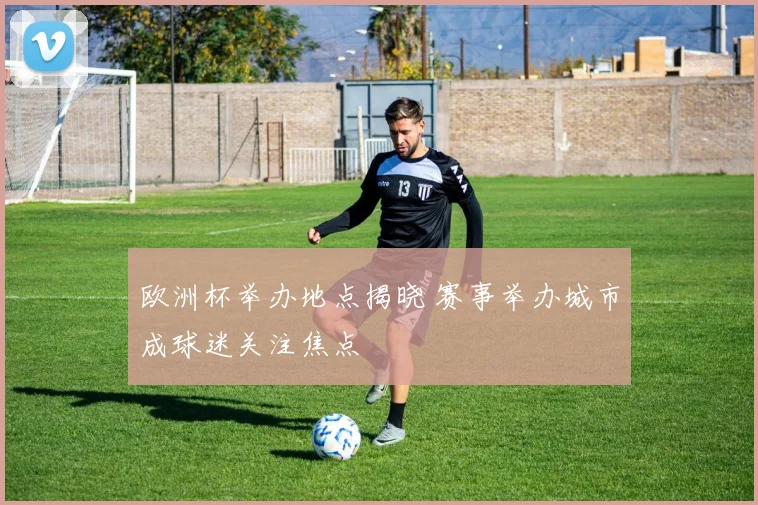 欧洲杯举办地点揭晓 赛事举办城市成球迷关注焦点