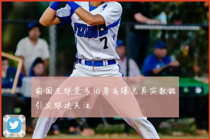 前国王球星韦伯身高曝光真实数据引发球迷关注
