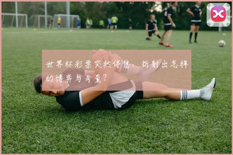 世界杯彩票突然停售，折射出怎样的博弈与考量？
