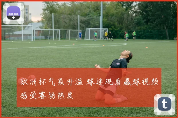 欧洲杯气氛升温 球迷观看赢球视频感受赛场热度