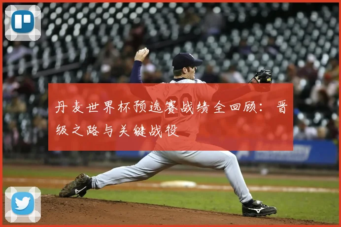 丹麦世界杯预选赛战绩全回顾:晋级之路与关键战役